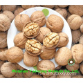Kernel Kernuts Piece di colore chiaro (LP) di Chinese Factory